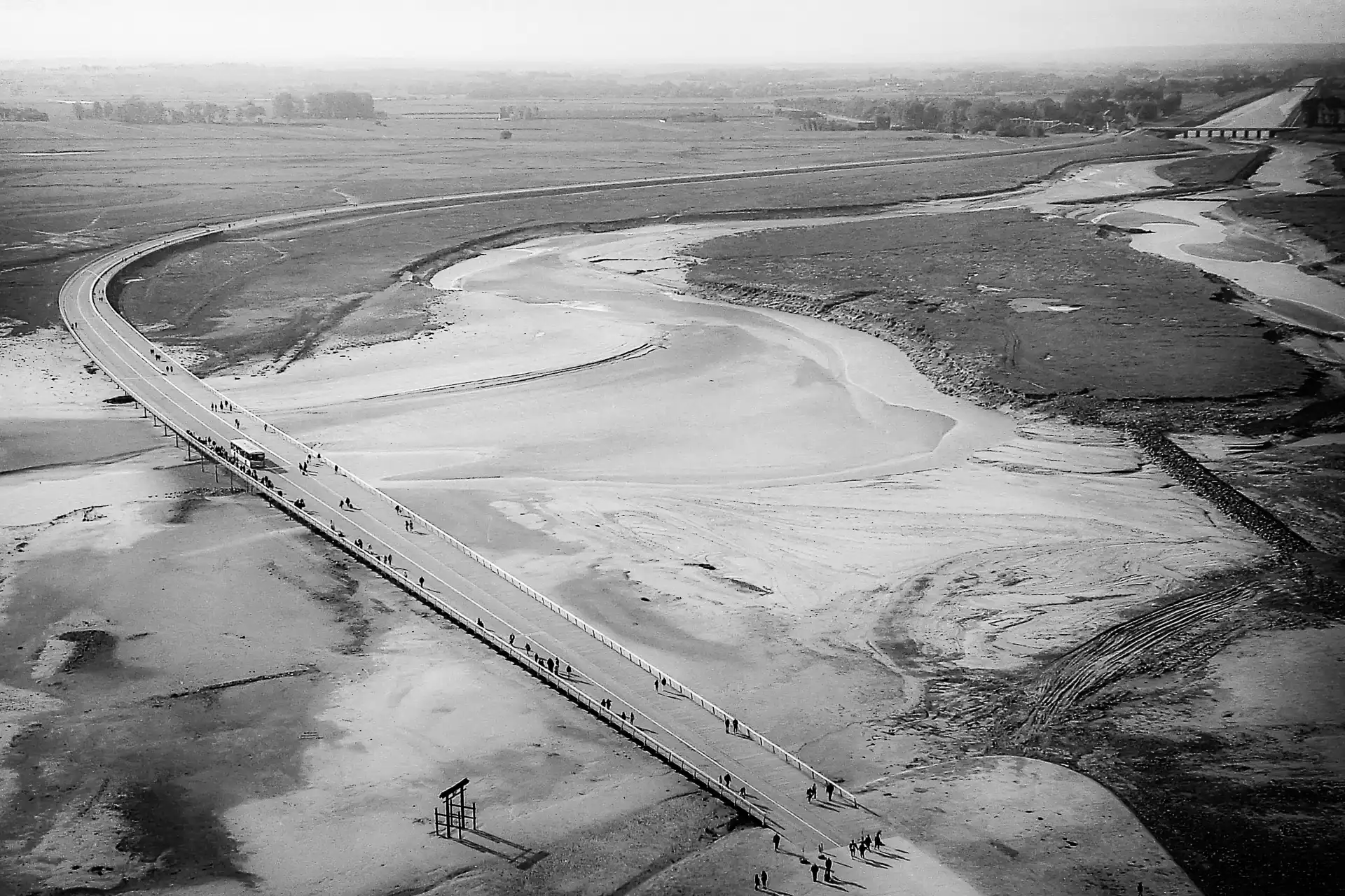 Black and White – Digilog